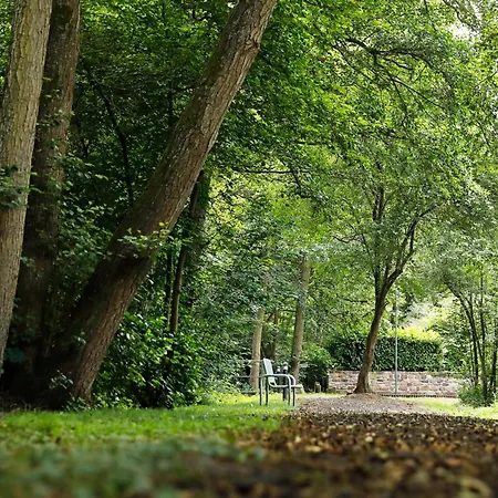 Sommerlinde