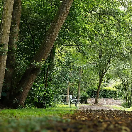 Sommerlinde