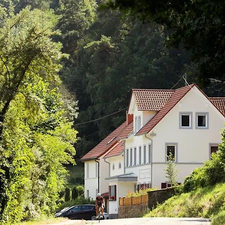 Sommerlinde Apartment Altleiningen