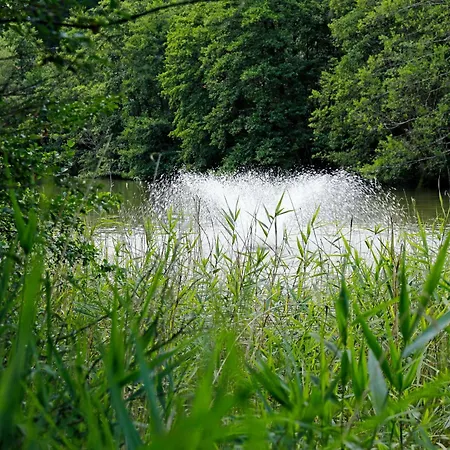 Lägenhet Sommerlinde